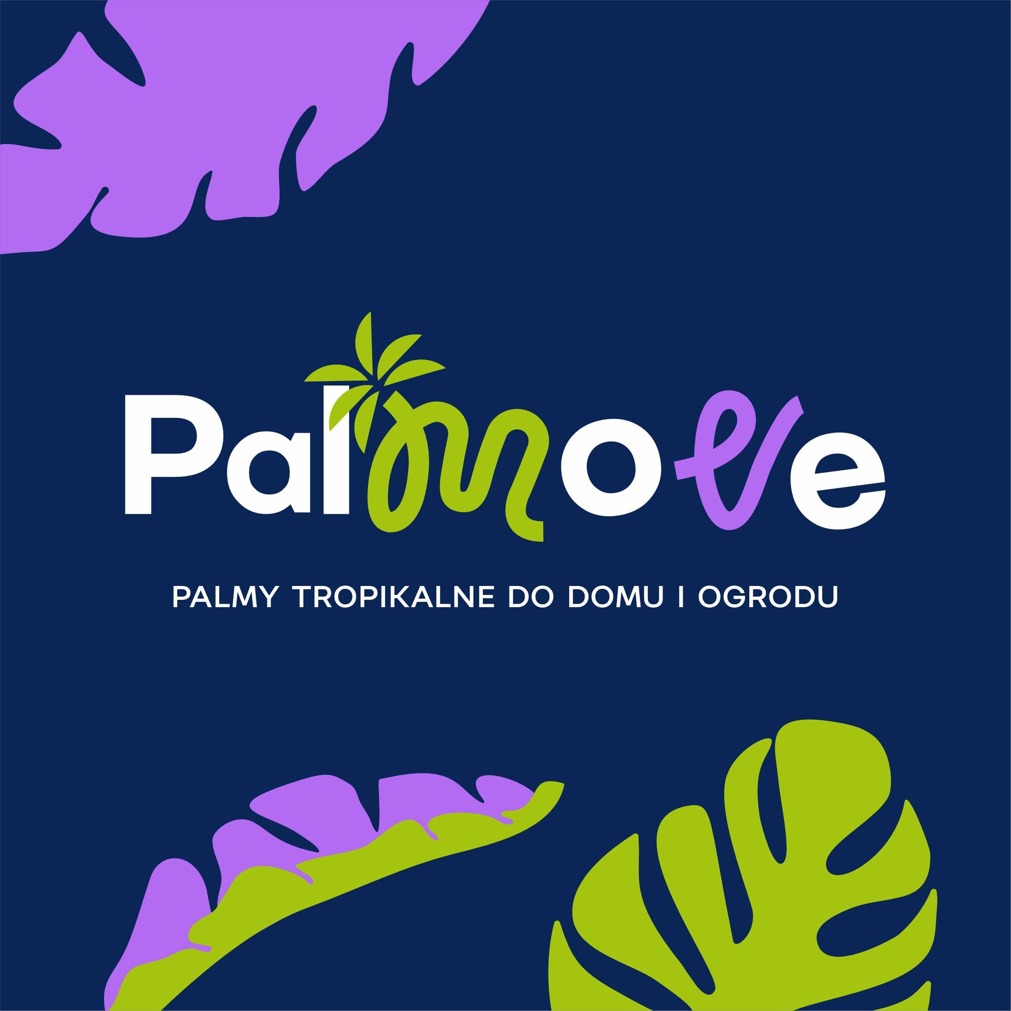 Palmove Aneta Głowniak